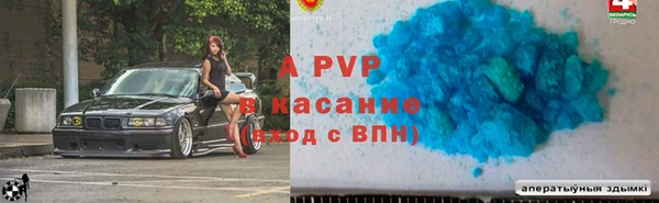 ECSTASY Богданович