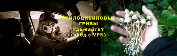 apvp Иннополис