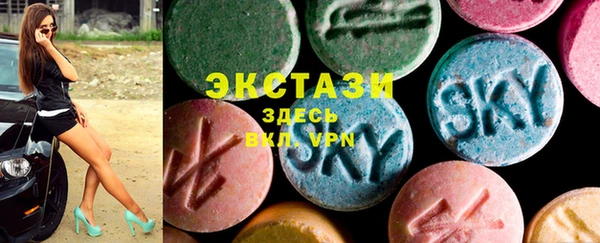 ECSTASY Богданович