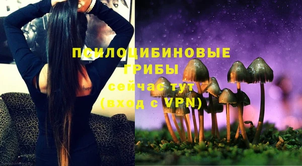 соль курить ск Богородицк