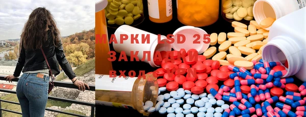 ECSTASY Богданович