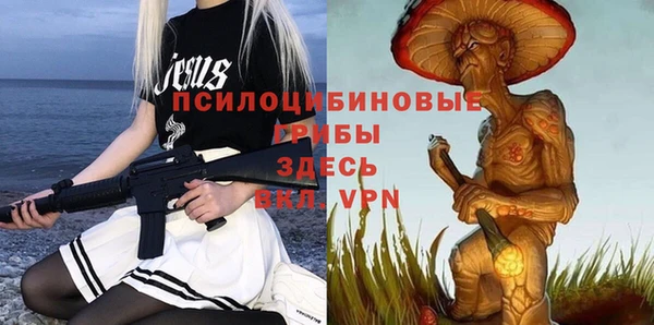 ГАЛЛЮЦИНОГЕННЫЕ ГРИБЫ Бугульма
