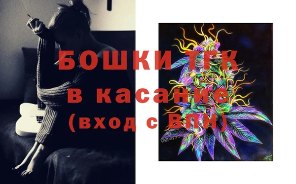 ECSTASY Богданович